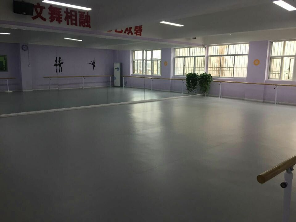 榆林舞蹈藝術學苑舞蹈室地膠成功案例
