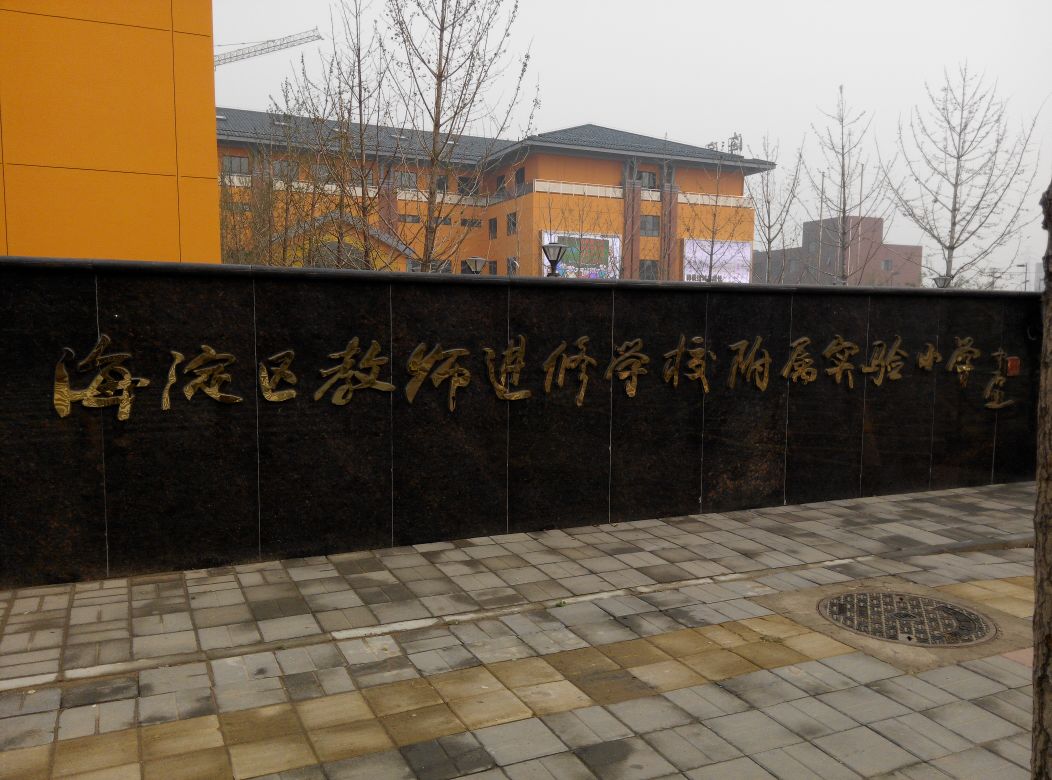 舞蹈地膠