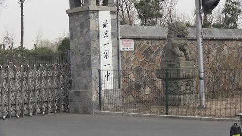 舞蹈地膠